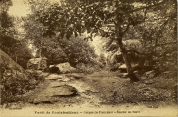 CPA (Seine Et Marne). Forêt De FONTAINEBLEAU. Gorges De Franchard, Sentier En Forêt - Fontainebleau