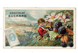 Chromo Chocolat Suchard, S 152 (= S 135) / 6, Enfants Et Fruits - Suchard
