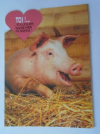 D203170    CPM   Cochon  -  Toi Toujours Dans Mes Pensées -Pig  Schwein - Varkens