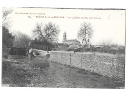 L300. Pézilla De La Rivière, Vue Générale Du Rec D'en Carbou (A17p56) - Autres & Non Classés