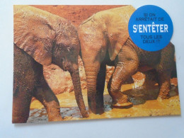 D203180   CPM   Elephant    Si On Arretait De Sentener Tous Les Deux? - Elefantes