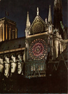 PARIS - La Cathédrale Notre-Dame De Paris - Notre Dame De Paris