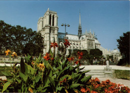 PARIS - La Cathédrale Notre-Dame - Notre Dame De Paris