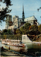 PARIS - Les Bords De La Seine - Notre-Dame, Vue Du Quai De Montebella - Notre Dame De Paris