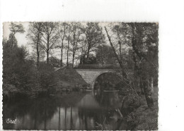 Oradour-sur-Glane (87) : Le Pont De Dieulidou Sur La Glane En 1955 (animé) GF. - Oradour Sur Glane