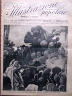 L'Illustrazione Popolare 13 Marzo 1913 Guerra Balcani Guglielmina D'Olanda Scala - Andere & Zonder Classificatie