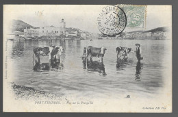 L300. Port Vendres, Vue Sur La Presqu'île (A17p57) - Port Vendres