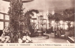 Interieur De "NORMANDIE"  Le Jardin, Les Volières Et L'Aquarium . - Piroscafi