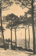 33 - Arcachon - Les Pins Aux Bords Du Bassin - Animée - Oblitération Ronde De 1911 - CPA - Voir Scans Recto-Verso - Arcachon