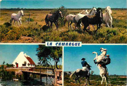 Animaux - Chevaux - Camargue - Multivues - Gardians - Voir Scans Recto Verso  - Horses