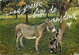 Animaux - Anes - Carte Humoristique - Anon - Flamme Postale - CPM - Voir Scans Recto-Verso - Donkeys