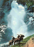Animaux - Chèvres - Oberer Krimmier Wasserfall - CPM - Voir Scans Recto-Verso - Autres & Non Classés