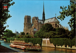 PARIS - Cathédrale De Notre-Dame - Notre Dame De Paris