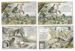S 598, Liebig 6 Cards, Les Passereaux (bad Condition) (ref B13) - Liebig