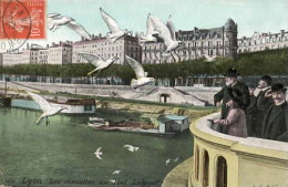 . 69 . LYON . Les Mouettes Au Pont Lafayette . Animation . - Other & Unclassified