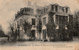 Champagnolles Le Château De Coquand (Chateaux Des Charentes) - Jonzac