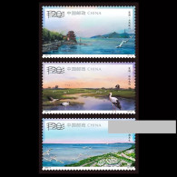 China Stamp  2024-9 Chaohu ，MNH - Neufs