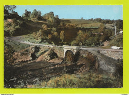 63 TAUVES Vers La Bourboule N°358 Pont De St Gal En 1967 VOIR ZOOM Dyna Panhard Break Ou Familiale Porte Arrière Ouverte - La Bourboule
