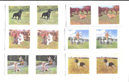 DQ48 - SERIE COMPLETE 25 CARTES STEREOSCOPOIQUES WEETABIX - WORKING DOGS - CHIENS AU TRAVAIL - Other & Unclassified