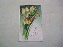 Carte Postale Ancienne En Relief Signée FJ    IRIS - Fleurs