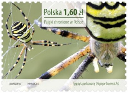 ** 4504-7 Poland Protected Spiders 2013 - Ragni