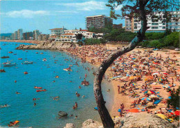 Espagne - Espana - Cataluna - Costa Brava - Playa De Aro - Playa - Plage - CPM - Voir Scans Recto-Verso - Gerona