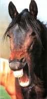 Format Spécial - 230 X 110 Mms - Animaux - Chevaux - Cyril Ruoso - Etat Pli Visible - Frais Spécifique En Raison Du Form - Horses