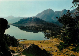 65 - Hautes Pyrénées - Vallée D'Aure - Le Lac D'Aumar (2192 M.) Vu Du Col D'Aubert (2500m.) La Crête De Traoues(2531 M.) - Autres & Non Classés