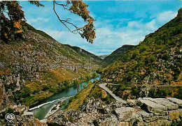 48 - Les Gorges Du Tarn - Vue Panoramique Sur La Vallée Du Tarn - La Malène - CPM - Voir Scans Recto-Verso - Gorges Du Tarn