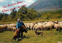Animaux - Moutons - Berger Et Son Troupeau - Chiens - CPM - Voir Scans Recto-Verso - Autres & Non Classés