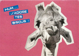 Animaux - Girafes - Carte Humoristique - Flamme Postale De Genlis - CPM - Voir Scans Recto-Verso - Jirafas