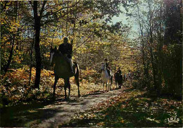 Animaux - Chevaux - Promenade Equestre En Foret - CPM - Voir Scans Recto-Verso - Horses
