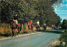 Animaux - Chevaux - Promenade Equestre - Voir Scans Recto Verso  - Caballos