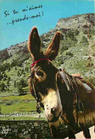 Animaux - Anes - Les Anes De Gavarnie - Carte Humoristique - CPM - Voir Scans Recto-Verso - Donkeys