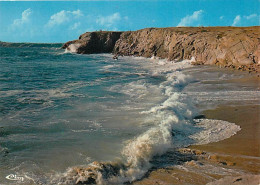 56 - Presqu'Ile De Quiberon - CPM - Voir Scans Recto-Verso - Quiberon