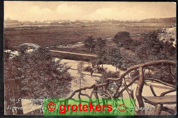 DEN HAAG Panorama Vanaf De 72 Trapjes Scheveningsche Boschjes 1906 - Den Haag ('s-Gravenhage)