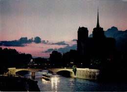 PARIS - La Cathédrale Notre-Dame Et La Seine - Notre Dame De Paris