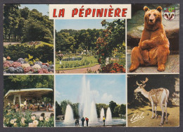 124460/ NANCY, Parc De La Pépinière - Nancy