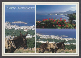 123905/ HERSONISSOS, Crete Island - Grèce
