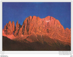 DOLOMITI (BL):  IL  CATINACCIO  -  PER  L' INGHILTERRA  -  FOTO  -  FG - Climbing