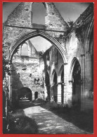Jumièges (76) Ruines De L'Abbaye église Saint-Pierre Xe XIVe S. Nef Vue De L'Est 2scans - Jumieges
