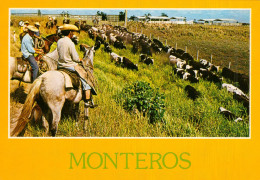 CPM- CUBA- MONTEROS -Fermiers à Cheval Rassemblant Le Troupeau De Vaches*TBE*  Cf. Scans * - Andere & Zonder Classificatie