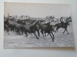 D203193      CPSM   Horse Pferd Cheval - Horses - Reiter Und Hirtentage - Hungary Ungarn - Cavalli