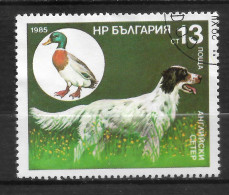 BULGARIE   N°  3000 " CHIENS - Used Stamps