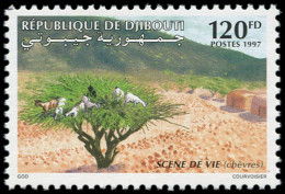 ** DJIBOUTI - Poste - 719X, Chèvres (Michel 643) - Djibouti (1977-...)