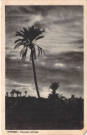 27023 " TRIPOLI-TRAMONTO NELL'OASI " -VERA FOTO-CART. POST. SPED.1934 - Libië