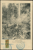 CP MADAGASCAR - Poste - 84, Sur Carte Postale Du 22 Aout 1904: 20c. Brique Sur Vert - Storia Postale