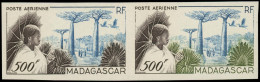 ** MADAGASCAR - Poste Aérienne - 73, Paire D'essais Polychromes: 500f. Pachypodes - Sonstige & Ohne Zuordnung