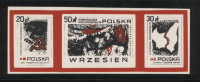 POLAND SOLIDARNOSC SOLIDARITY SEPT 1939 4TH PARTITION BY GERMANY & RUSSIA (SOLID0149/0296) Ribbentrop Molotov Maps WW2 - Vignette Solidarnosc