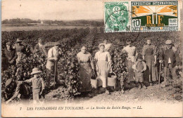 37 LES VENDANGES EN TOURAINE - La Récolte Du Raison Rouge - Vouvray
